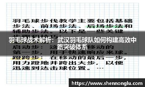 羽毛球战术解析：武汉羽毛球队如何构建高效中路突破体系